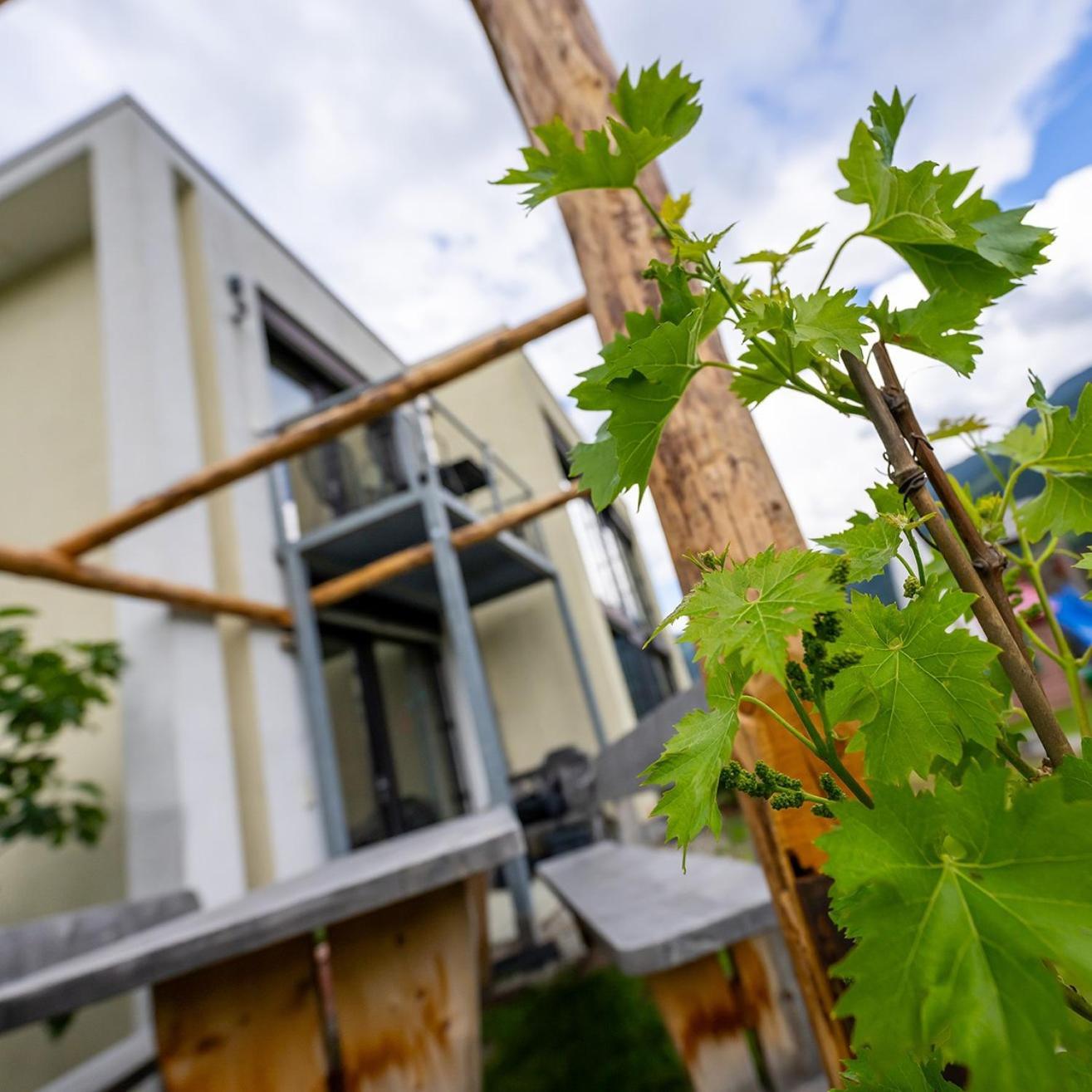 Apartamento Biohof Gala Naturns Exterior foto